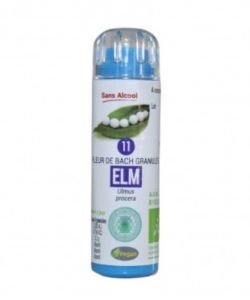 Orme - Elm (n°11) SANS ALCOOL BIO, 130 granules